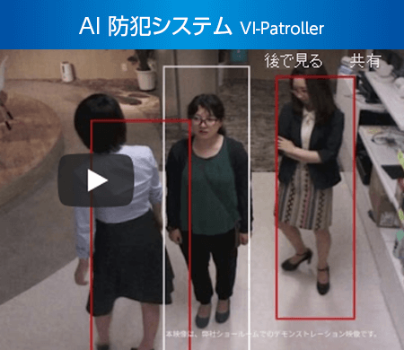 VI-Manager 活用例(2) VI-Manager 活用例(2)